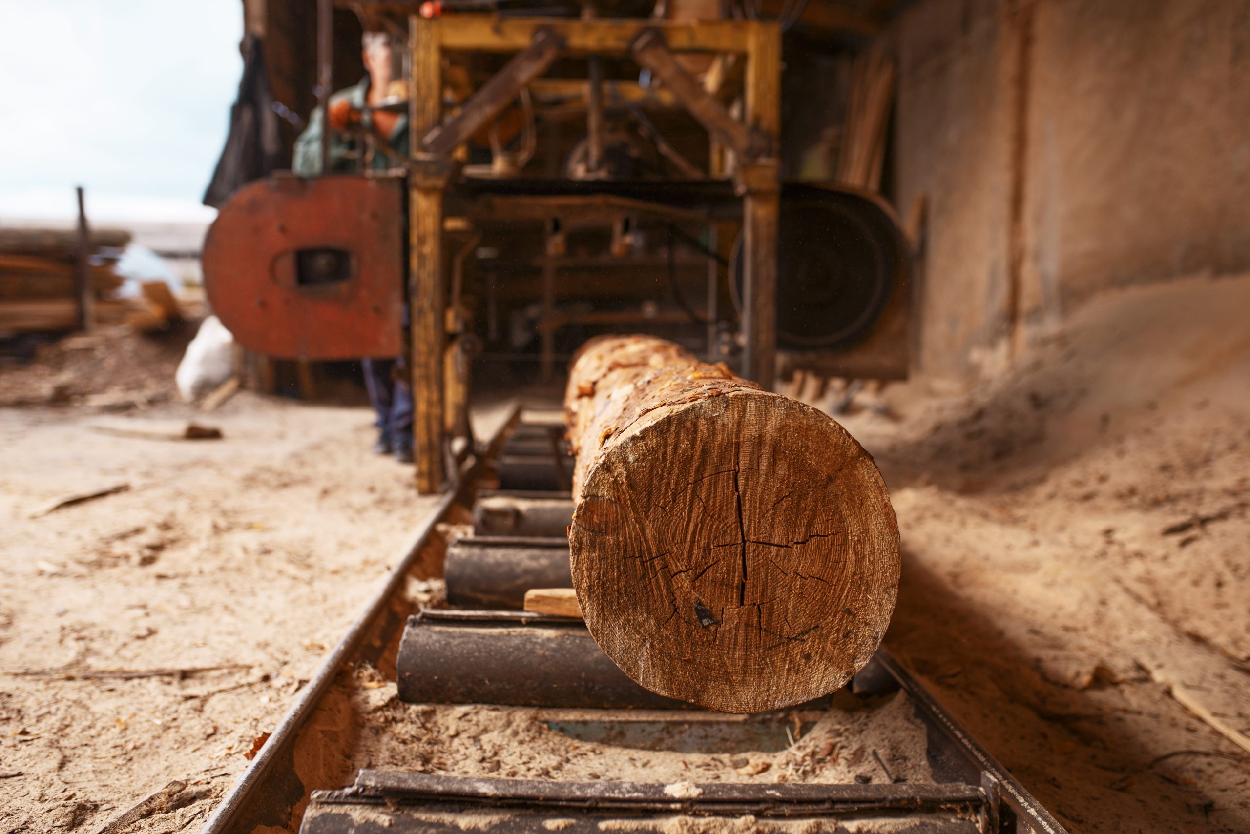 Log on woodworking machine, nobody, sawmill