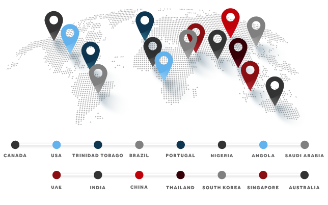 Vidya Global Map Partners