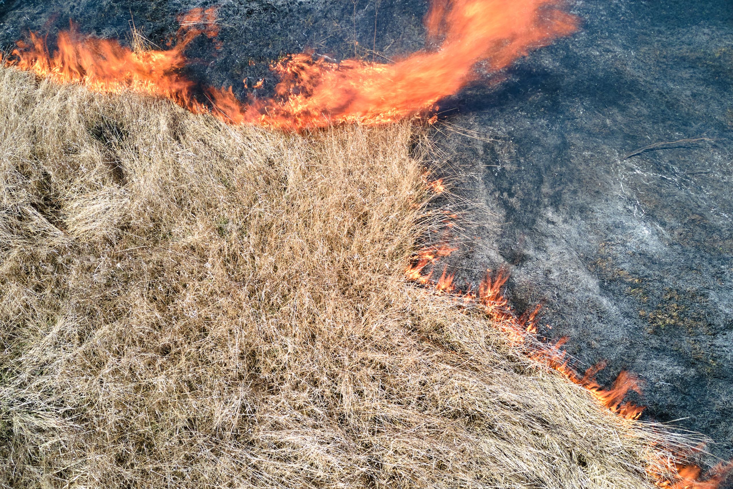 aerial view of a grassland burning