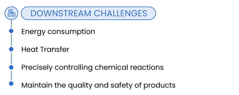 Main Downstream Challenges