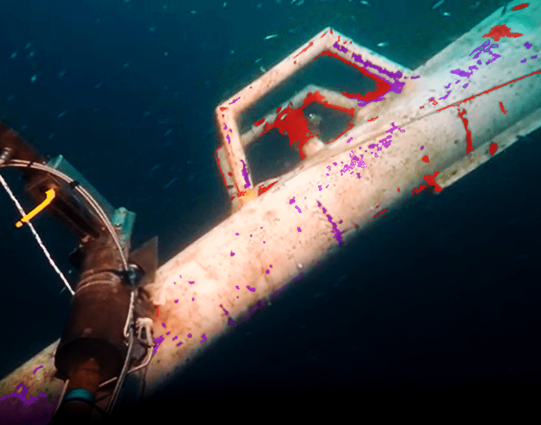 Vidya's subsea spatial processing